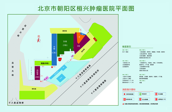 黄片大鸡巴啊啊啊啊北京市朝阳区桓兴肿瘤医院平面图